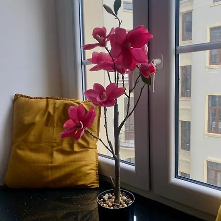 Cozy On Piotrkowska Street *