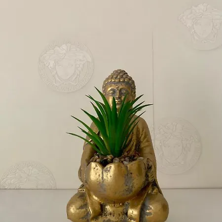 Cozy On Piotrkowska Street Apartman *